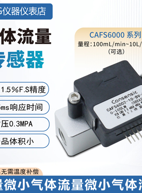 气体质量流量传感器CAFS6000测空气氮气氧气二氧化碳等RS485远传