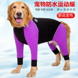 Большая собачья одежда для собак Осень и зимняя четырехдушная золотисто -рерадо Пладон ПЭТ ПЭТ.