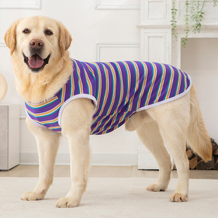 大狗衣服夏装薄款金毛萨摩中型大型犬宠物小狗夏季背心狗防晒衣服
