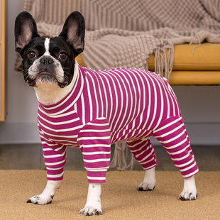 宠物狗狗衣服泰迪法斗小型犬全包公母通用款四脚绝育断奶服防掉毛