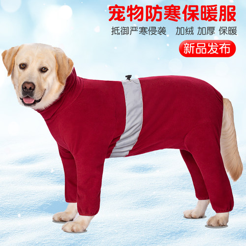 大型宠物棉服价格 大型宠物棉服图片 星期三