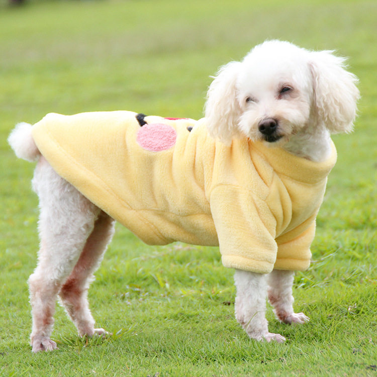 狗狗衣服冬装季法兰绒保暖宠物中大型犬泰迪柯基金毛两脚卫衣可爱
