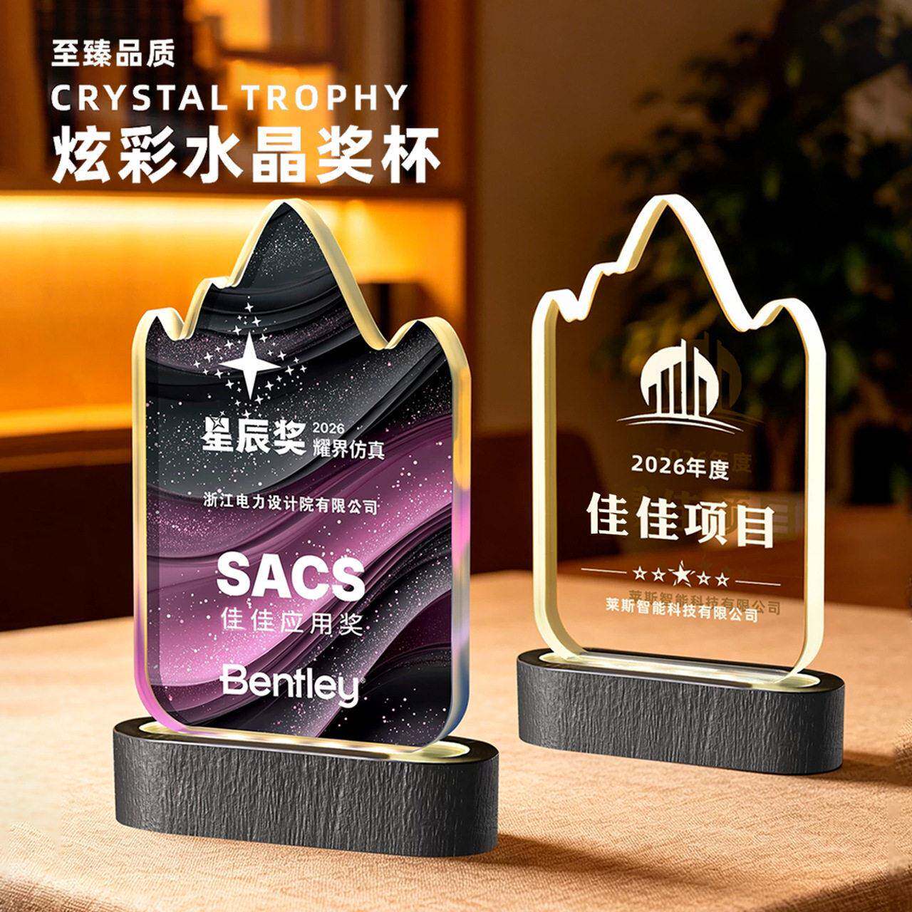 发光水晶医疗项目定制定做创意团队奖牌纪念优秀员工档大气奖杯