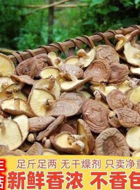 连州香菇农家野生食用菌新鲜冬菇蘑菇新货高山薄香菇散装干货煲汤
