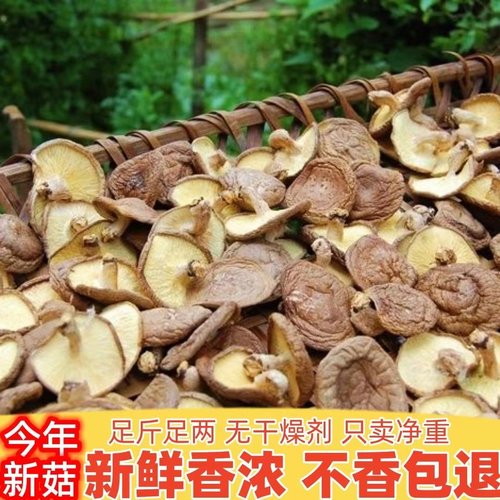 连州香菇农家野生食用菌新鲜冬菇蘑菇新货高山薄香菇散装干货煲汤