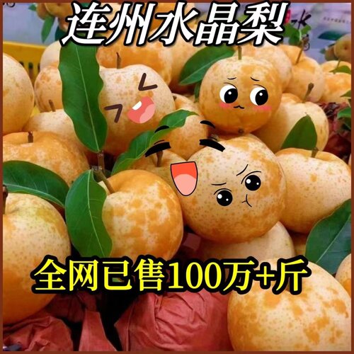 连州水晶梨脆冠梨现摘当季水果