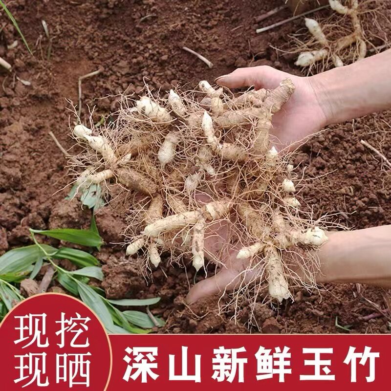新鲜玉竹广东农家现挖玉竹片干条搭配麦冬沙参泡茶煲汤尾参可种植