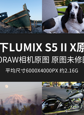 松下LumixS5IIX原片原图RAW+JPG相机直出图练习未修图参考素材图