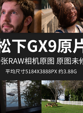松下GX9原片原图RAW+JPG相机直出图未修练习修图高清素材摄影图片
