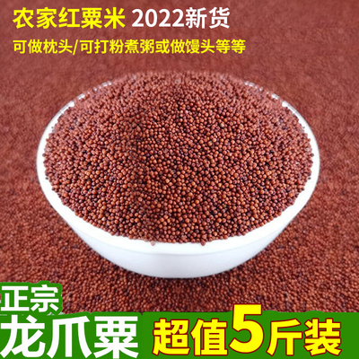 广西鸭脚粟米粒红小米五谷杂粮
