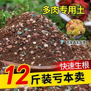 多肉专用颗粒土营养土种植疏松透气有机发根肉肉叶插小苗老桩花土