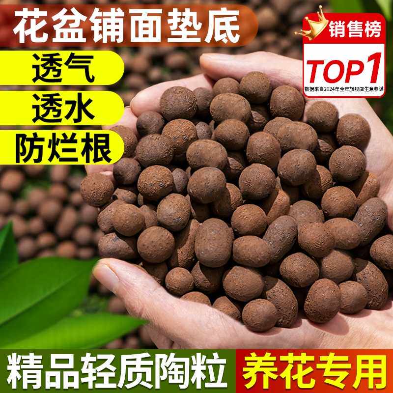 思威博园艺陶粒轻质透气吸水养花多肉铺面垫底小号介质兰花种植