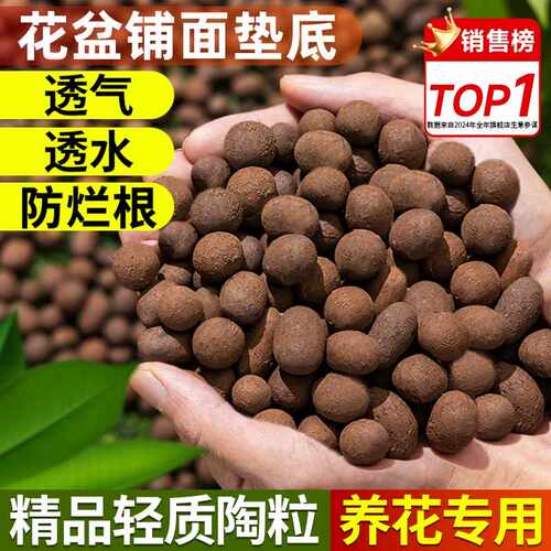 思威博园艺陶粒轻质透气吸水养花多肉铺面垫底小号介质兰花种植