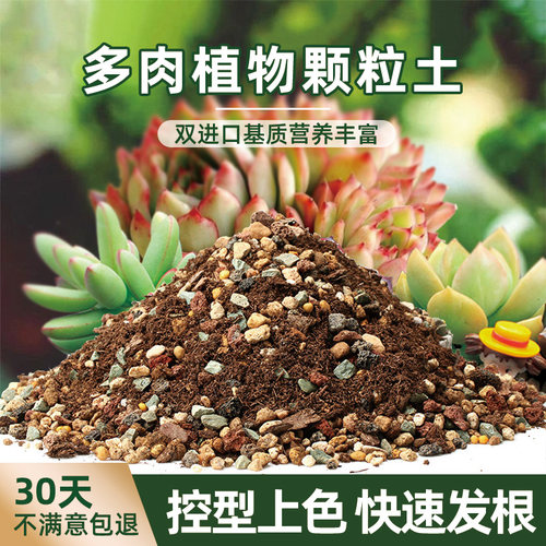思威博多肉颗粒土无虫无菌