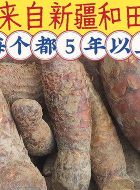 新疆特产和田红柳根大芸肉苁蓉活的新鲜现挖泡酒煲汤中药材包邮