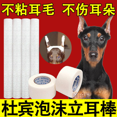 器绑辅助耳朵竖固定专用立