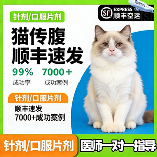 猫传腹针剂猫咪干湿性消腹水口服片剂水性油性营养液腹膜炎抑制剂