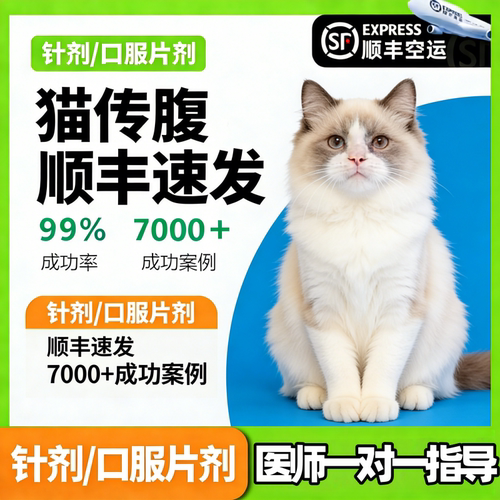 猫传腹针剂干性湿性消腹水油剂