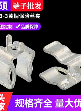 10X38-3黄铜保险丝夹 线路板保险管座 管状保险丝支架 五金弹夹
