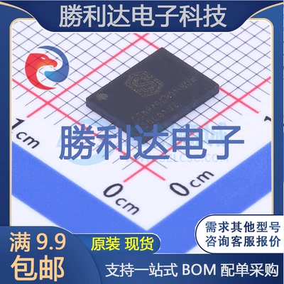 CSNP4GCR01-BOWNAND FLASHLGA-8(6x8)封装 勝利达