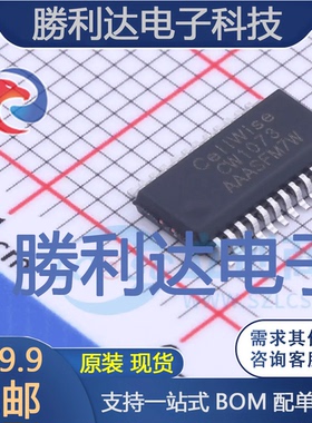 CW1073AAAS封装SSOP24电池管理全新现货 量大价优