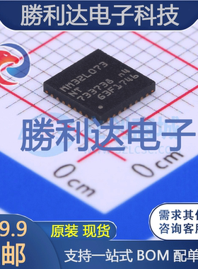 MM32L073NT封装QFN-32单片机(MCU/MPU/SOC)全新现货 量大价优