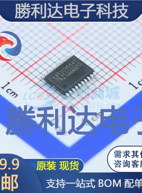 CH554T封装TSSOP-20处理器 全新现货