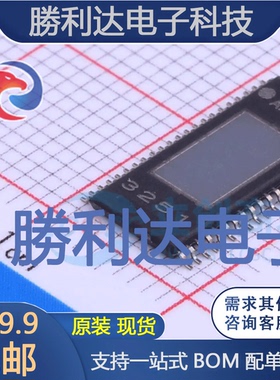 TPA3251D2DDVR封装HTSSOP-44音频功率放大器