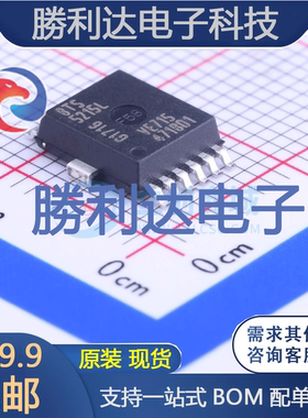 BTS5215LAUMA1封装PG-DSO-12-9功率电子开关全新现货 量大价优