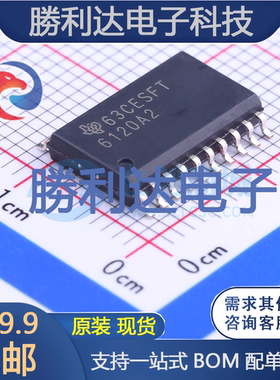 TPA6120A2DWPR封装HSOP-20音频功率放大器 全新现货