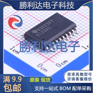 TPA6120A2DWPR封装HSOP-20音频功率放大器 全新现货