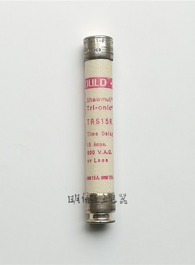 美国GOULD TRS15R/TRS30R保险丝保险管熔断丝熔断器现货