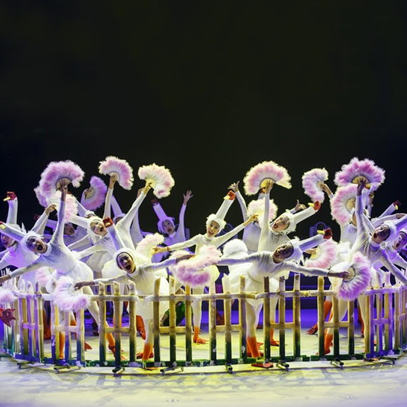 咏鹅儿童演出服小荷风采鹅场里的故事大白鹅动物造型表演服舞蹈服