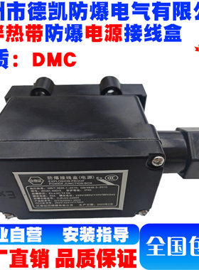 ZDJH-40D/3电伴热带首端防爆电源接线盒220V/380V