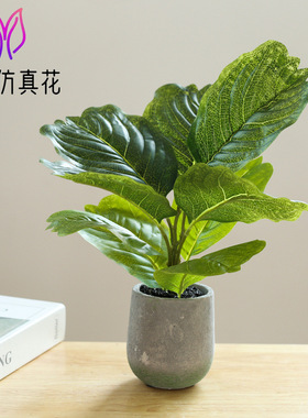 仿真绿植盆景超市美陈情景家居客厅装饰品小摆件假花植物盆栽塑料