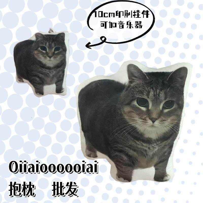 oiiaioooooiai猫表情包语音挂件小猫发声玩偶抱枕宠物钥匙扣