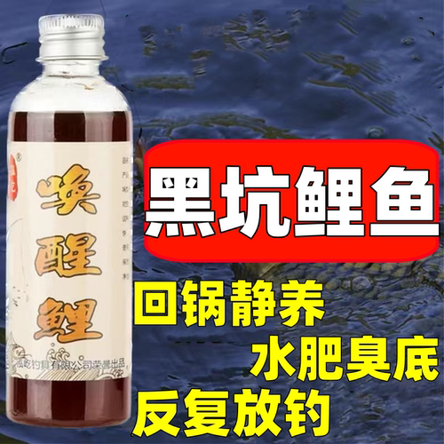 黑坑鲤鱼小药回锅鱼滑口鱼