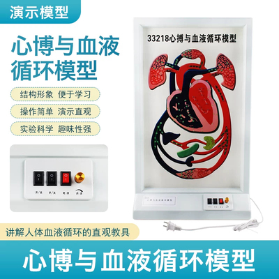 电动心博血液循环教学模型