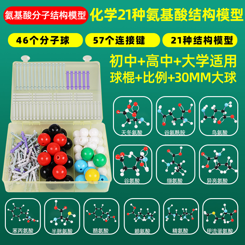 可普氨基酸分子结构模型大号球体