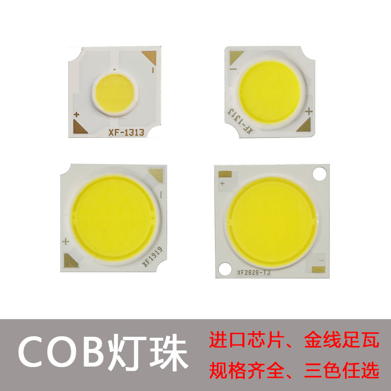ledcob进口10w20w30瓦灯光源