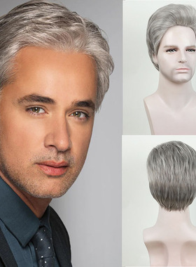 欧美假发蓬松男士短发高温丝假发套表演假发Grey Man hair wig