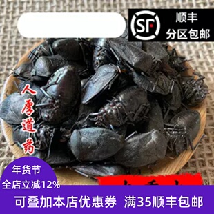 精选 中药材 九香虫 打屁虫 屁巴虫 50克 可打粉 无硫 包邮