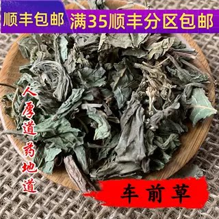 精选 中药材 车前草 50g 可打粉 无硫熏满包邮