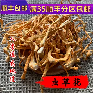 精选  虫草花 金虫草 蛹虫草 50g 可打粉无硫熏 满包邮