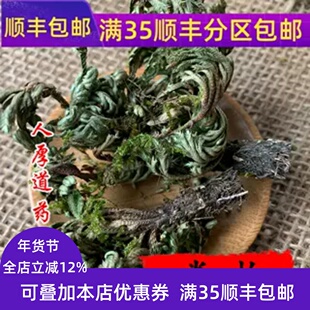精选 中药材 卷柏 不死草 还阳草 50g 可打粉 无硫熏满包邮