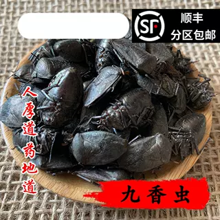 精选 中药材 九香虫 打屁虫 屁巴虫 50克 可打粉 无硫 包邮