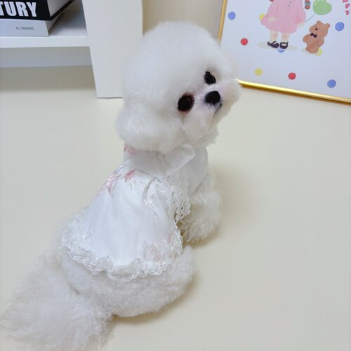 ins风仙女裙宠物猫狗衣服
