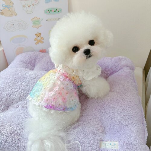 春夏薄款水彩公主猫狗叠穿裙