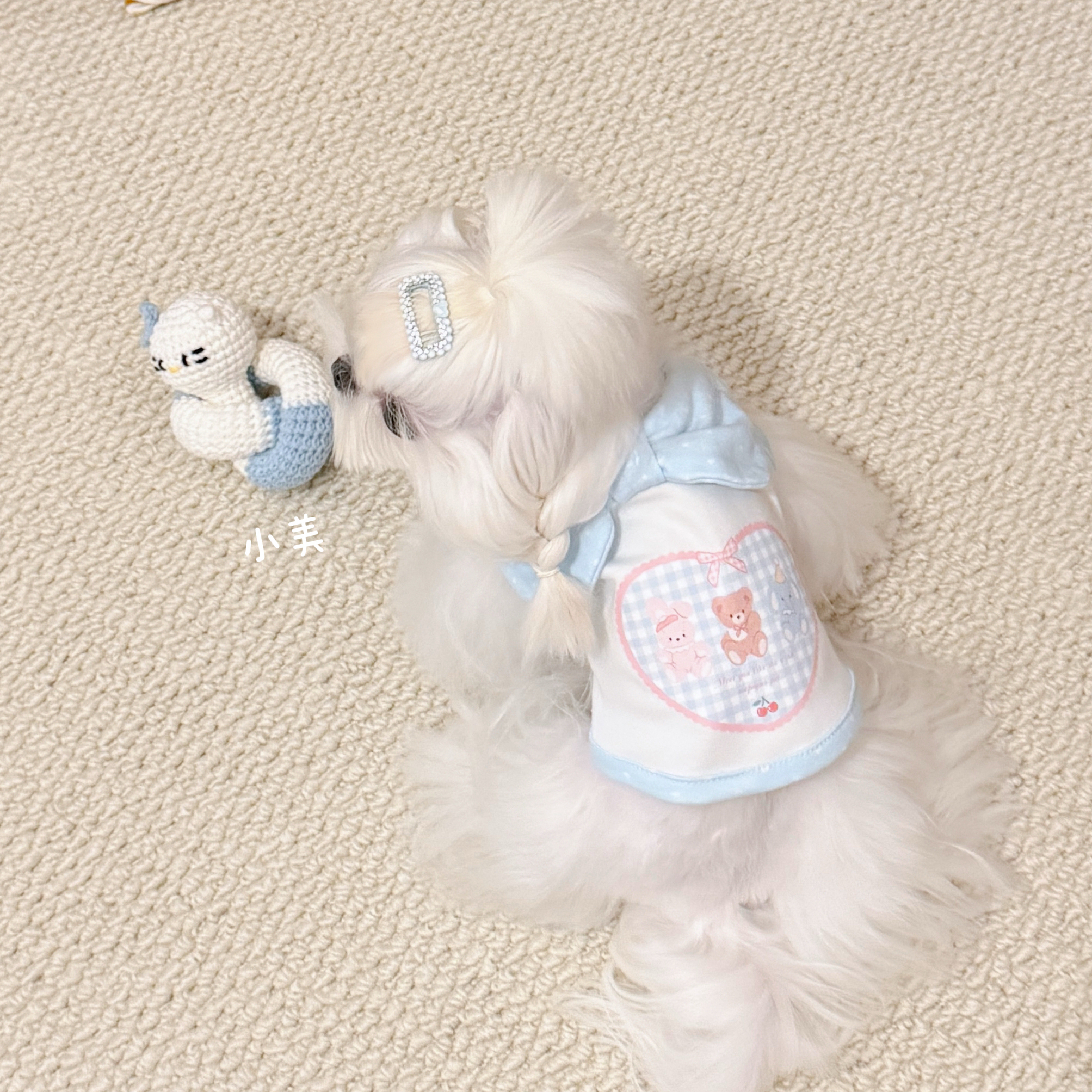 2025秋冬打底波点领结宠物猫狗衣服棉比熊泰迪保暖无袖奶狗背心