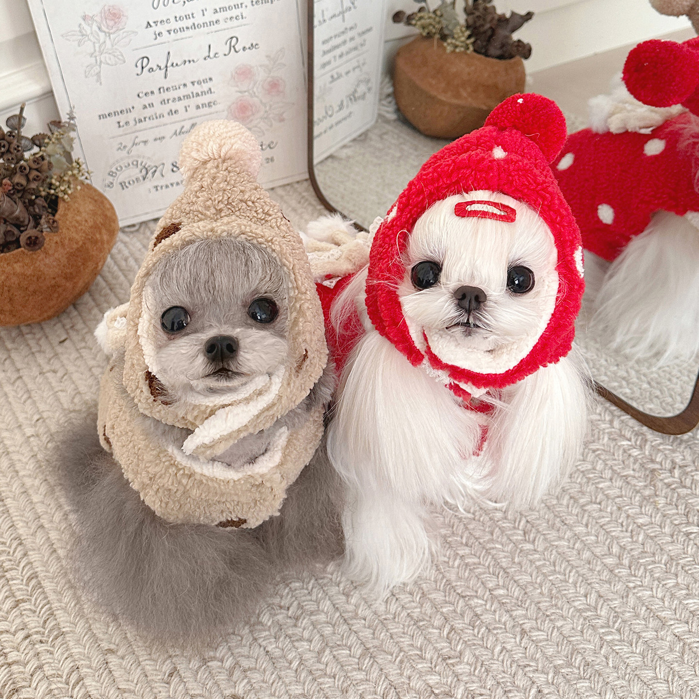 宠物帽子猫狗秋冬加绒加厚羊羔绒波点球球帽保暖泰迪比熊拍照可爱